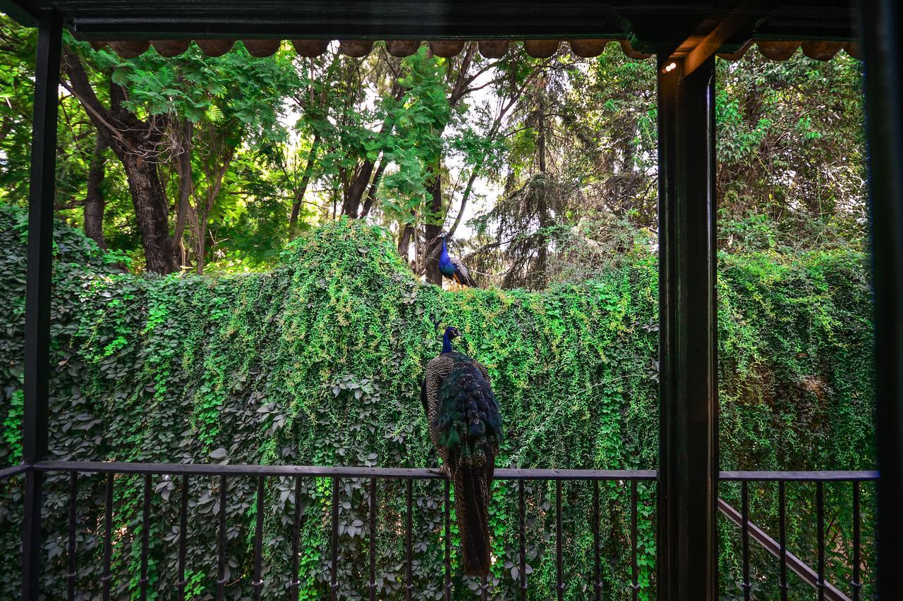 Hotel Legado Alcazar (Adults Only) Σεβίλλη Εξωτερικό φωτογραφία